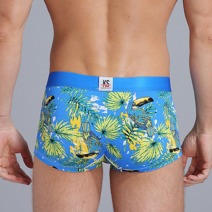 BEEMEN Sexy Herren Low-Rise Trunk Nylon Boxerbrief Bird - BEEMEN Sexy Herren Low-Rise Trunk Nylon Boxerbrief Bird - Bird / S (Europe Size) - BIMONI