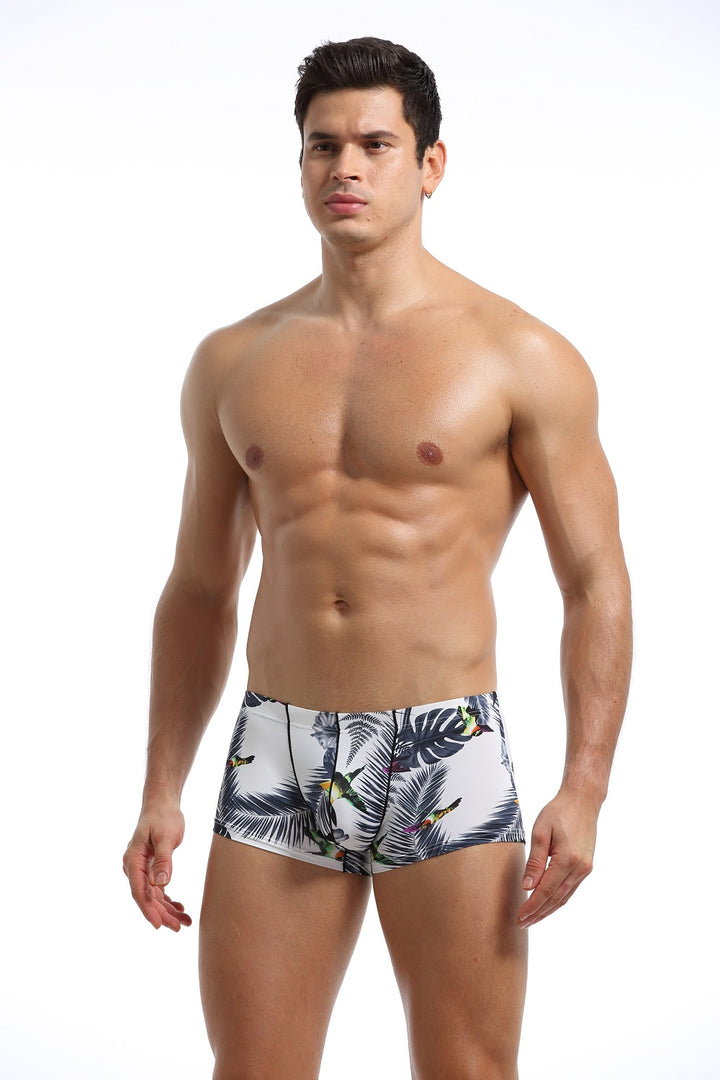 Karenspace Sexy Herren Low-Rise Trunk Nylon