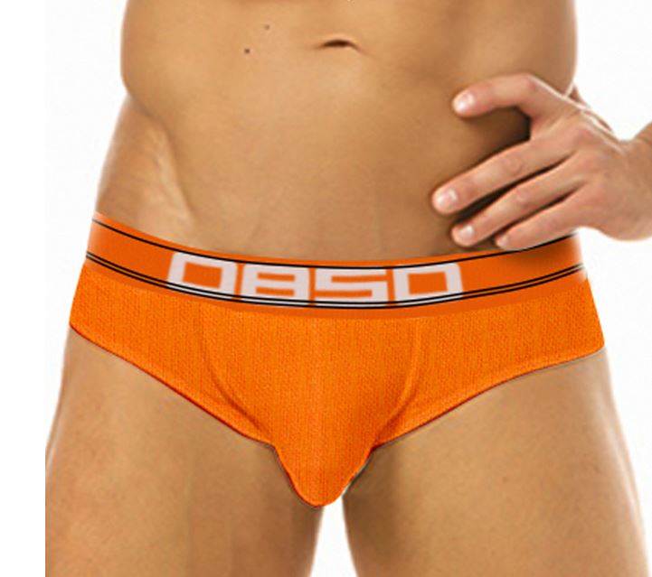 BS Low-Rise Brief