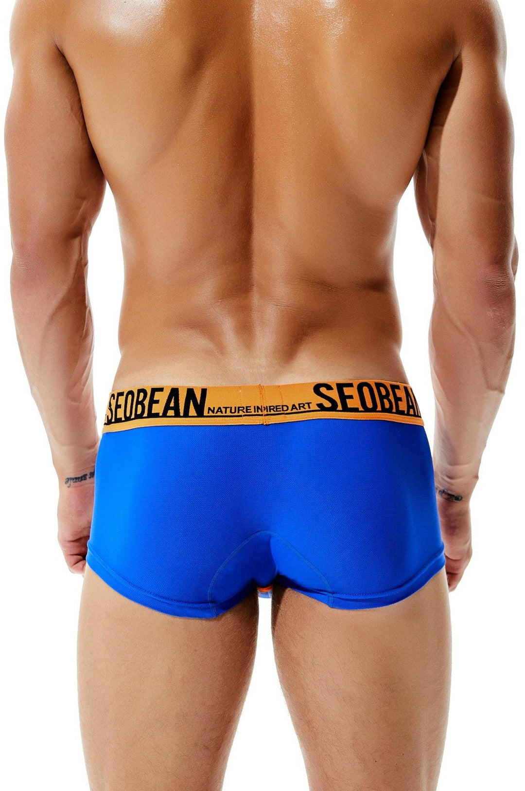 SEOBEAN Low-Rise Nylon Mesh Colorful Sexy Trunk Boxerbrief - SEOBEAN Low-Rise Nylon Mesh Colorful Sexy Trunk Boxerbrief - Hellblau / M (Europe Size S) - BIMONI