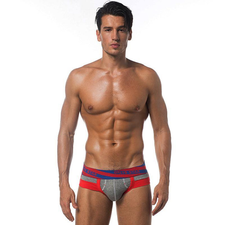 ORLVS Low-Rise Brief - BEEMENSHOP